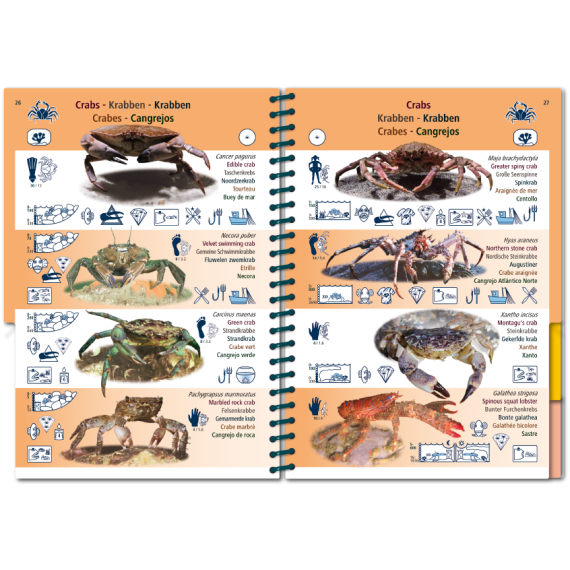 Marine PICTOLIFE - Eastern Atlantic - Boat-Stuff