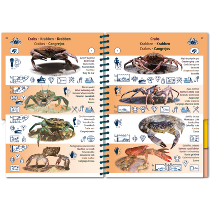 Marine PICTOLIFE - Eastern Atlantic - Boat-Stuff