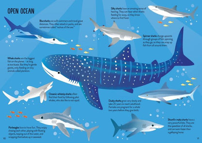 Usborne Book and Jigsaw - Sharks