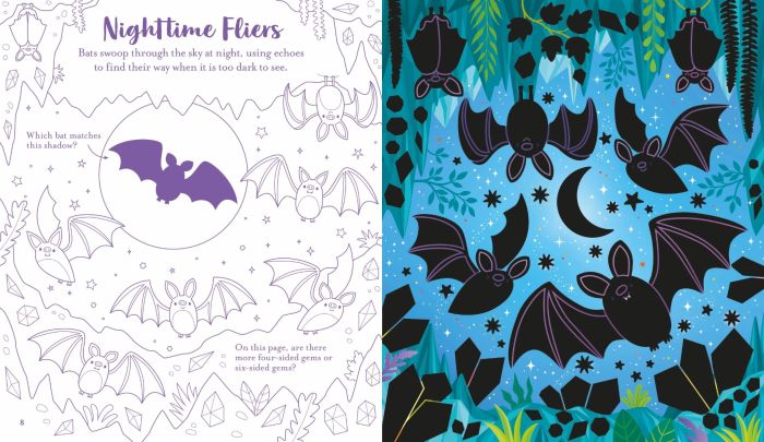 Usborne Scratch Activities Night Sky