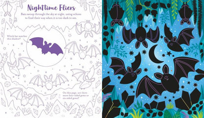 Usborne Scratch Activities Night Sky