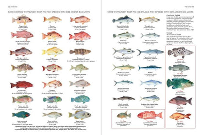 100 Magic Miles of the Great Barrier Reef : The Whitsunday Islands