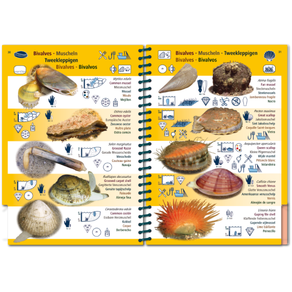 Marine PICTOLIFE - Eastern Atlantic - Boat-Stuff
