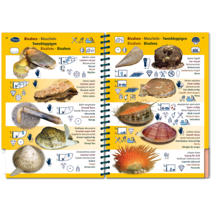 Marine PICTOLIFE - Eastern Atlantic - Boat-Stuff