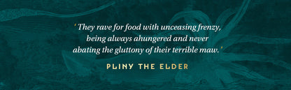 The Book of Sea Monsters **PRE-ORDER - AVAILABLE SEPTEMBER 11**