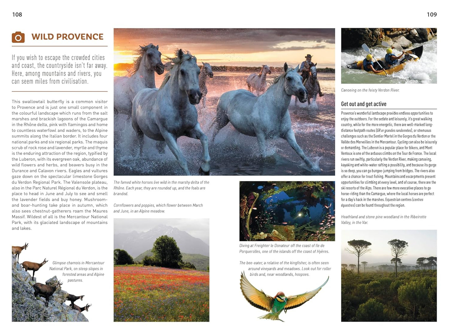 Insight Guides Provence and the French Riviera, 8th edition 2026