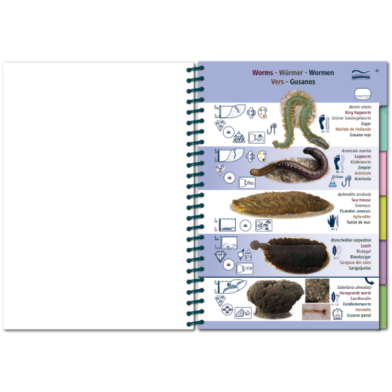 Marine PICTOLIFE - Eastern Atlantic - Boat-Stuff