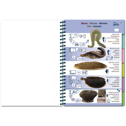 Marine PICTOLIFE - Eastern Atlantic - Boat-Stuff