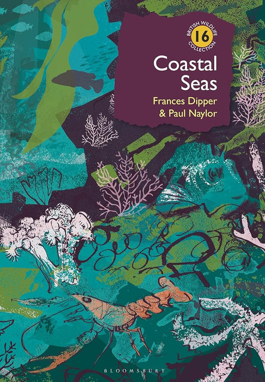 Coastal Seas (British Wildlife Collection) cover image