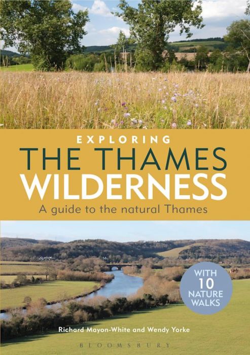 Exploring The Thames Wilderness