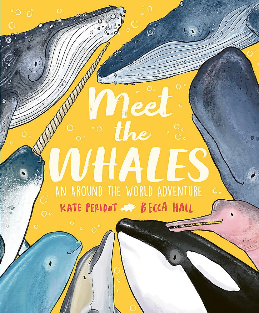 Meet the Whales cover image