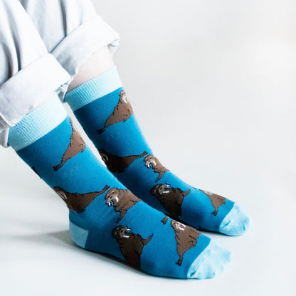 The Frozen Friends Bundle of 3