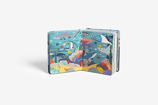 Shark Block - Boat-Stuff
