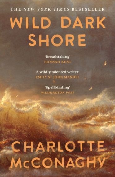 Wild Dark Shore
