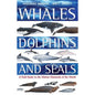 Whales Dolphins & Seal - A Field Guide to the Marine Mammals of the World