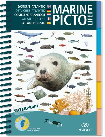 Marine PICTOLIFE - Eastern Atlantic - Boat-Stuff