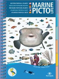 Marine PICTOLIFE - Western Tropical Atlantic