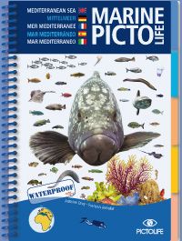 Marine PICTOLIFE - Mediterranean Sea