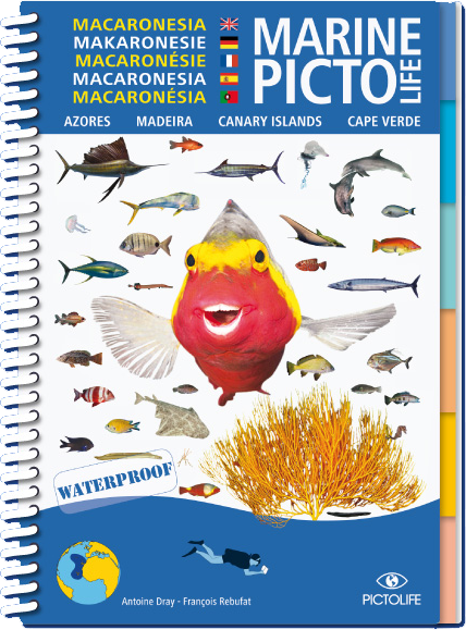 Marine PICTOLIFE - Macronesia