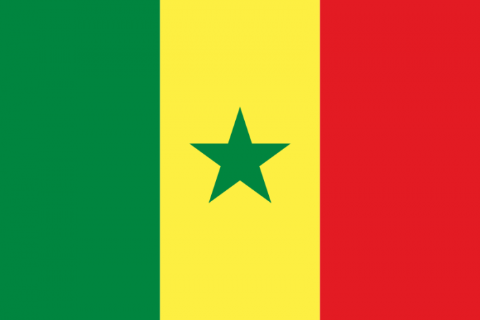 Senegal Courtesy Flag