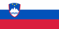 Slovenia Courtesy Flag