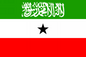 Somaliland Courtesy Flag
