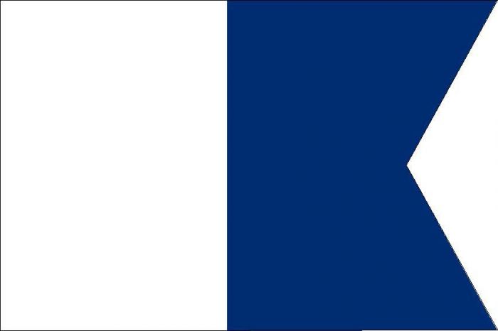12 X 9 Code Flag A Polyester