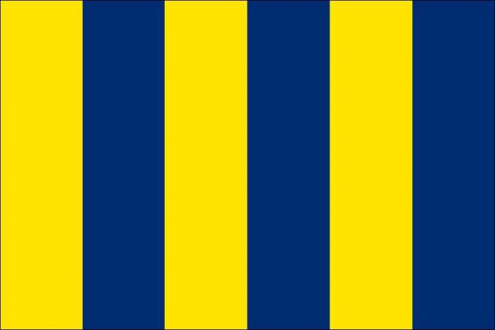 12 x 9 Code Flag G Polyester