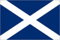 12 X 9 Code Flag M