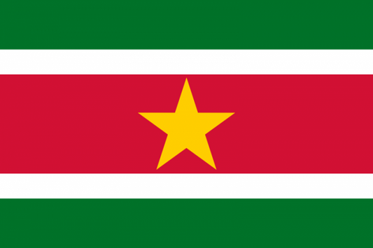 Surinam Courtesy Flag