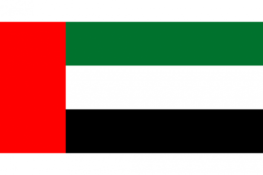 United Arab Emirates Courtesy Flag