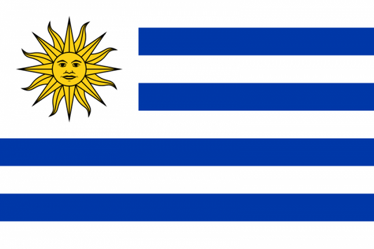 Uruguay Courtesy Flag