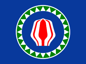 Bougainville Courtesy Flag