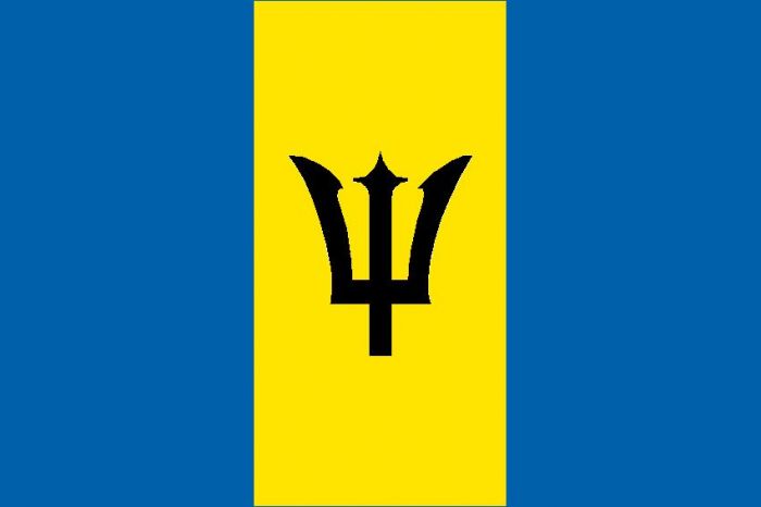 Barbados 12 x 9 Courtesy Flag Polyester