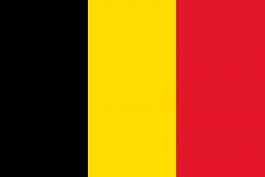 Belgium 12 x 9 Courtesy Flag Polyester