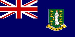 British Virgin Islands 12 x 9 Courtesy Flag