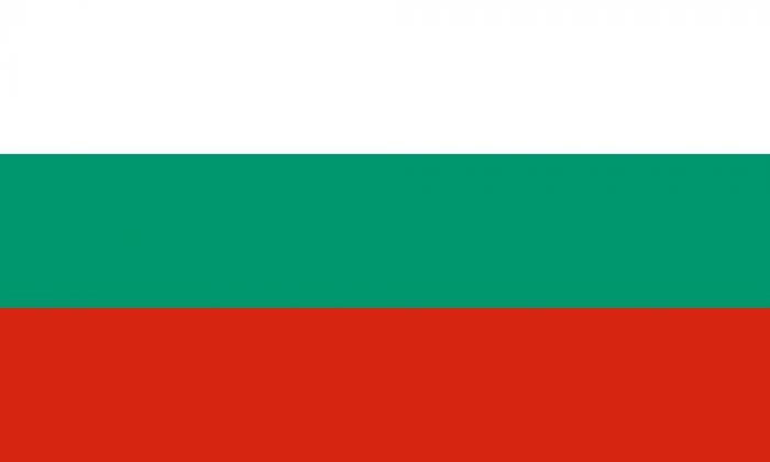 Bulgaria 12 x 9 Courtesy Flag Polyester