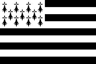 Breton/Brittany 12 x 9 Courtesy Flag