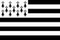 Breton/Brittany 12 x 9 Courtesy Flag