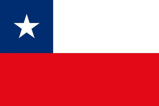 Chile 12 x 9 Courtesy Flag Polyester