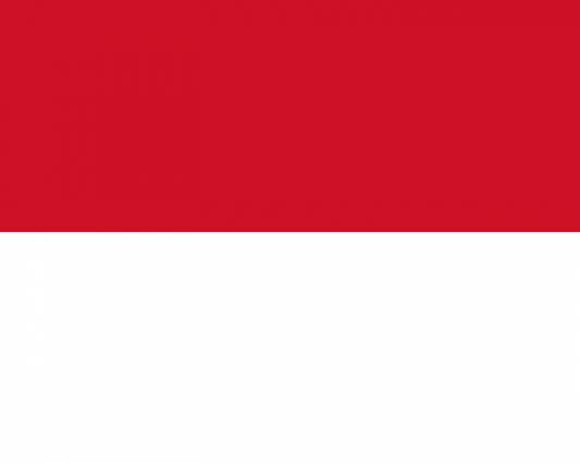 Monaco 12 x 9 Courtesy Flag Polyester