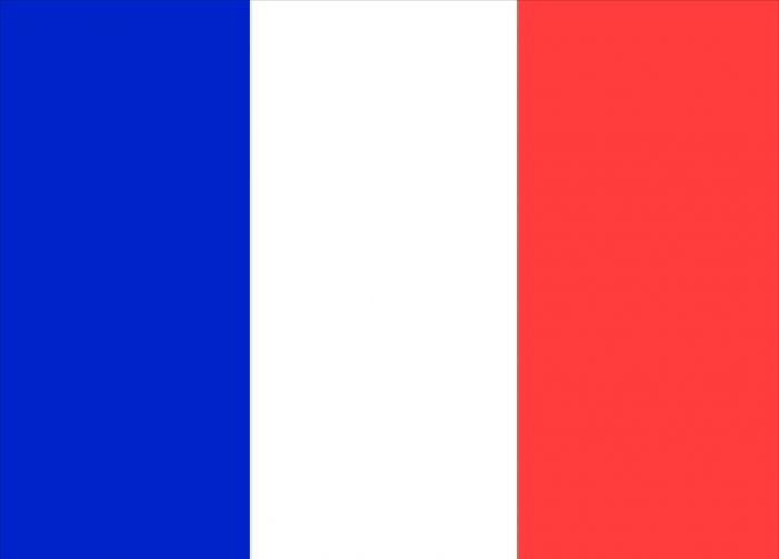 France Sewn Courtesy Flag