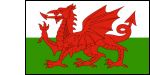 Welsh Dragon 12 x 9 Courtesy Flag Polyester