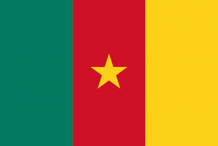 Cameroon Courtesy Flag