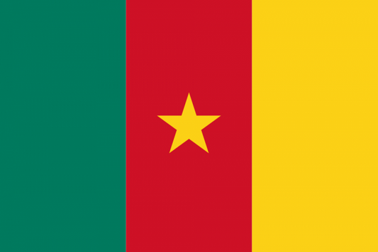 Cameroon Courtesy Flag