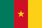 Cameroon Courtesy Flag