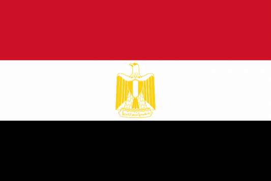 Egypt Courtesy Flag