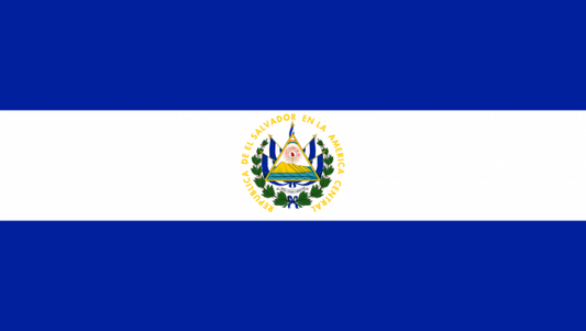 El Salvador Courtesy Flag